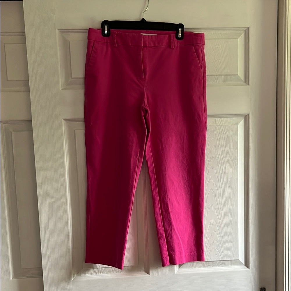 LOFT Fuchsia Trousers Size 10, Stretchy , Cropped